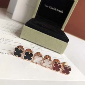 Cztery liście Clover-2049  